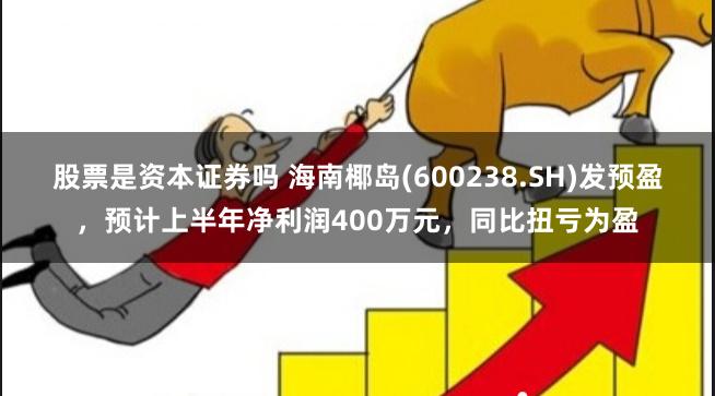 股票是资本证券吗 海南椰岛(600238.SH)发预盈，预计上半年净利润400万元，同比扭亏为盈